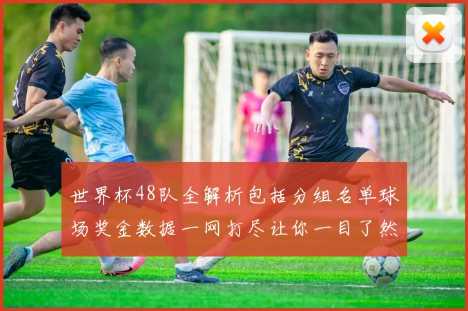 世界杯48队全解析包括分组名单球场奖金数据一网打尽让你一目了然